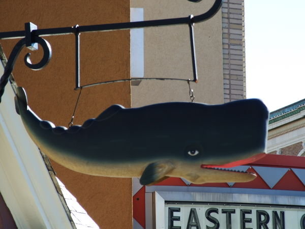 This Whale is on the front of a Law Office. No Joke.