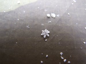 Morning Snowflake on the Poncho Hooch