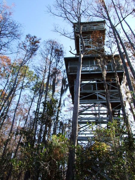 A strangly located observation tower.