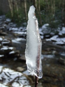 Ice on a stick.