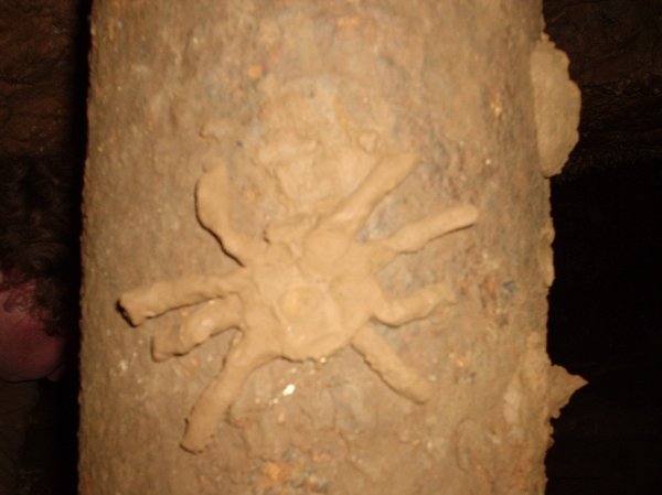 A deadly clay spider!