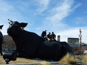 J, Onaxthiel, and Obfuscator atop the reclining cow.