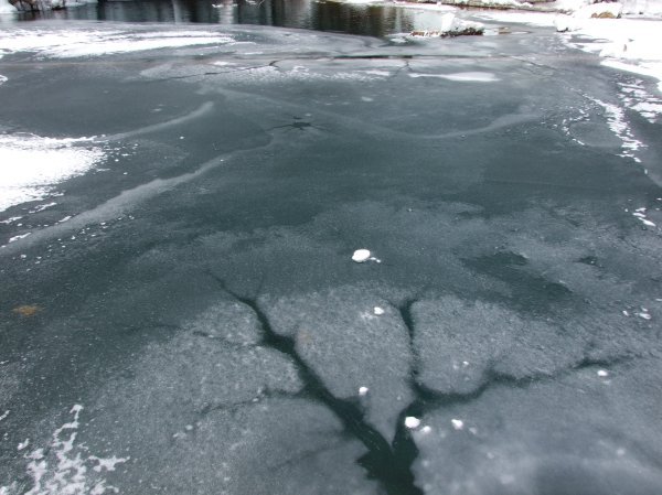 The frozen surface.