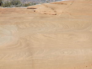 The rock had some interesting swirls to it. 