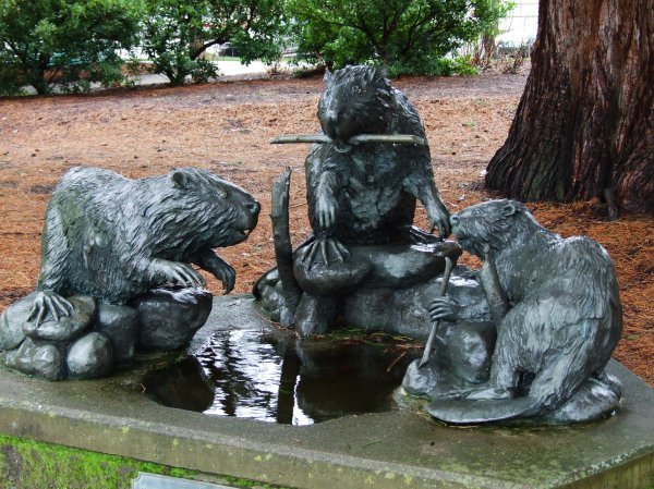 There used to be a happy beaver family living around the capitol.  The people liked them so much they had them encased in bronze for posterity.