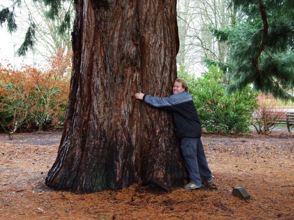 Onaxthiel gets possessive around Giant Sequoias.