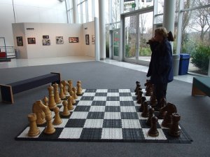 Onaxthiel gets ready to play Chess.