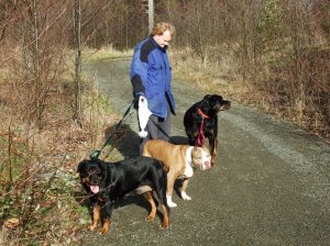 Onaxthiel with dogs!