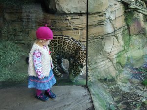 Jaguar looks hungrily at child.