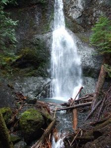Another waterfall in Olympic National Park
