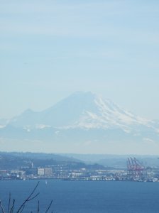 The only time we've ever been able to see Mt. Rainier from Seattle.