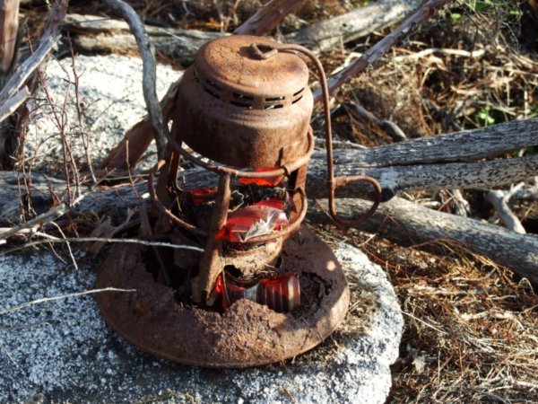 A broken old lamp found in the bushes.