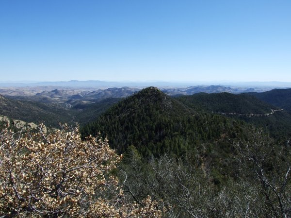 A scenic overlook in the Gila Wilderness.