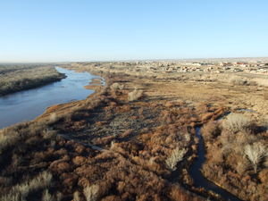 The Rio Grande and the Albuquerque Wildlife Area.