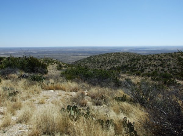 View from the visitor's center at Carlsbad Caverns
