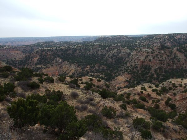 Looking down the Palo Duro Canyon.