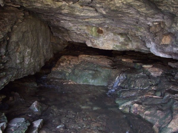 Cave where one of the springs originated.