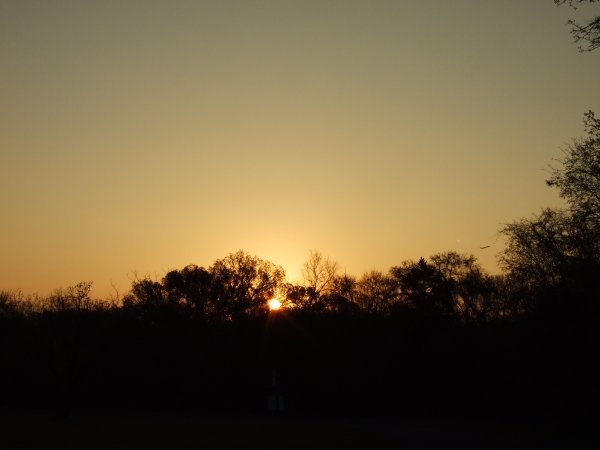 Sunrise at McKinney Falls State Park, near Austin.