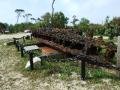 19th Century Ship's Keel, washed up near Fort Gibson, Dauphin Island AL.