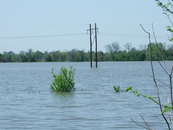 High water at the Mississippi at Vicksburg.