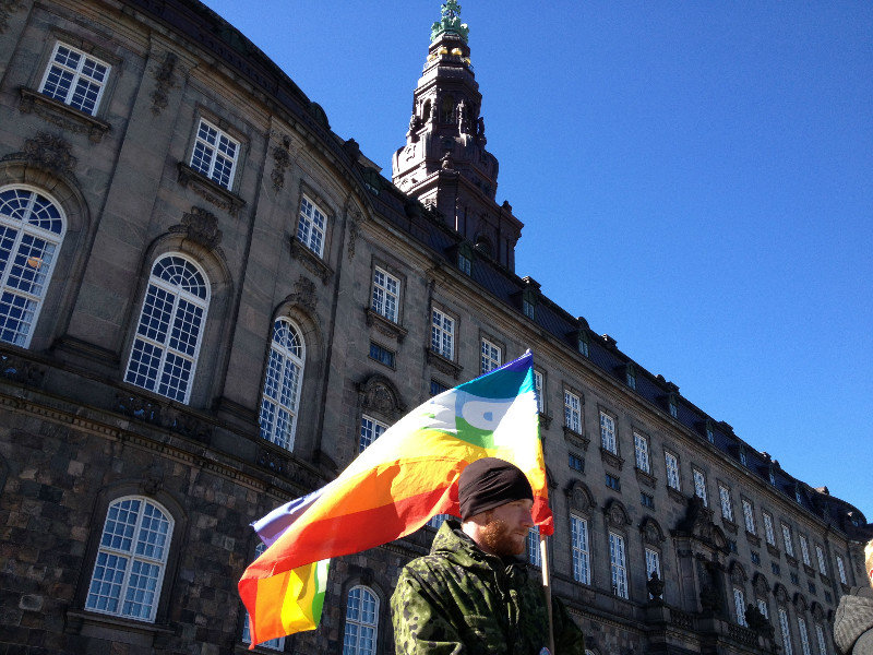 Peace Protest at the Danish Parliament