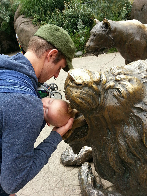 Feeding Hank to the Lions