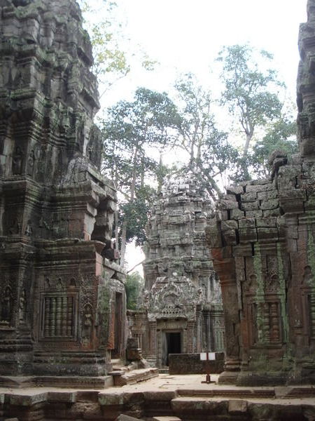 Ta Prohm which was used as a location in the film Tomb Raider