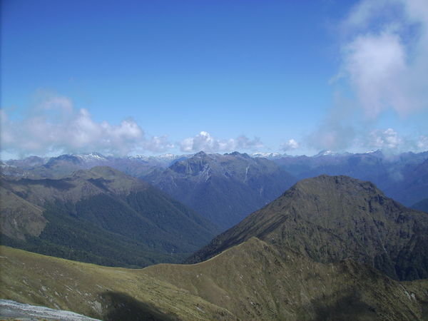 Kepler Track