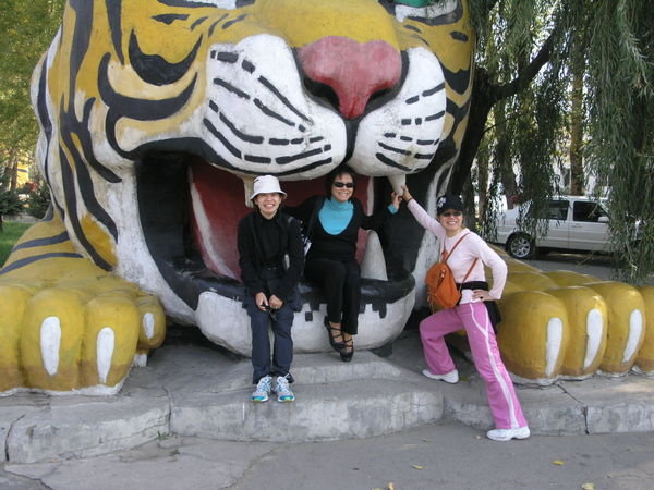 In The Mouth of the Tigers