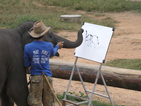 Elephant Drawing a Pic