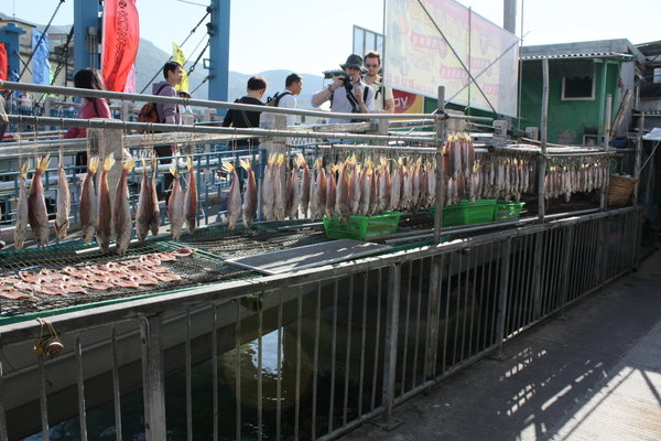 Dried Fish in Tai O