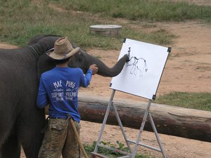 Smart Elephant