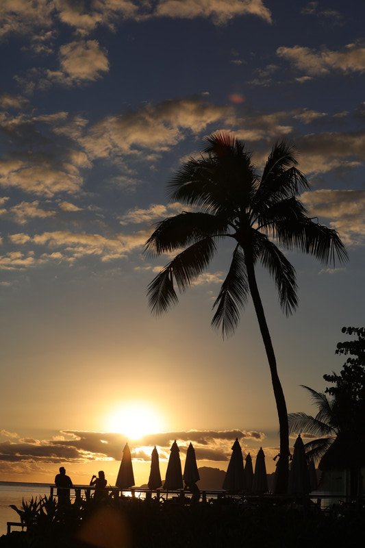 Palm Sunday evening.