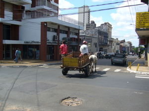 Horse-drawn Cart in Asuncion