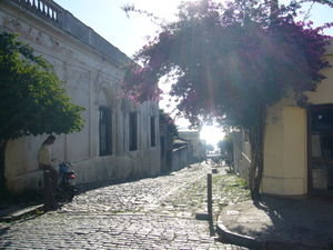Cobbled Street in Colonia