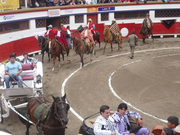 Horse & Carriage Parade