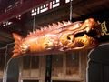 Dragon Fish