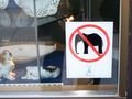 Just incase you were wondering...no elephants are permitted in Dresden....what the????