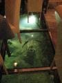 The Fish Tank Floor