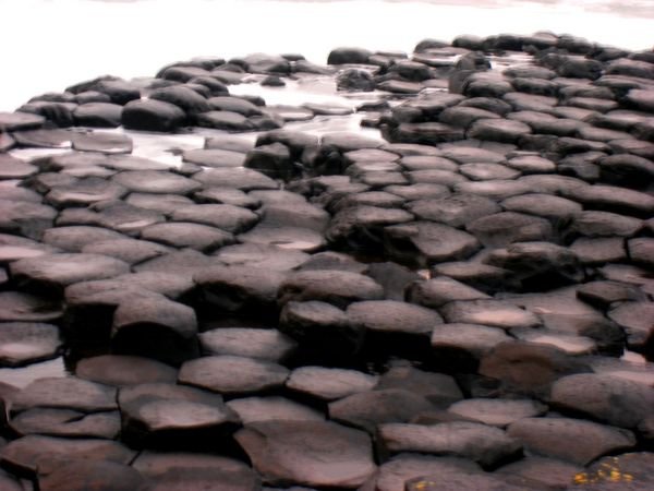 Stones of the Giant's Causeway