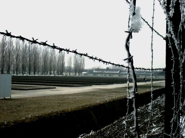 more barbed wire