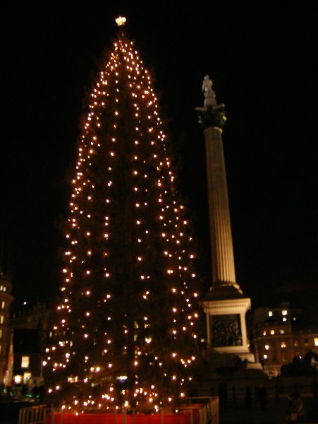 Christmas Tree w/ Nelson Column