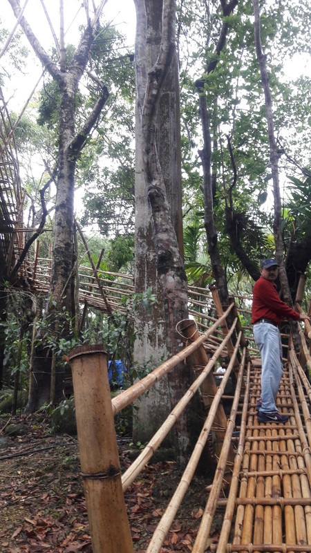 Bamboo bridge to top.. to view the Bangla border..