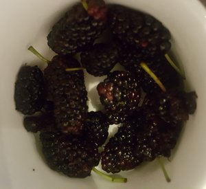 Fresh Black berry from the hills...