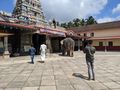 Elephant offering prayers