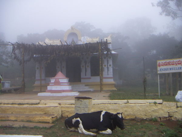 The temple of local tribe