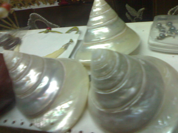 Shiny shells