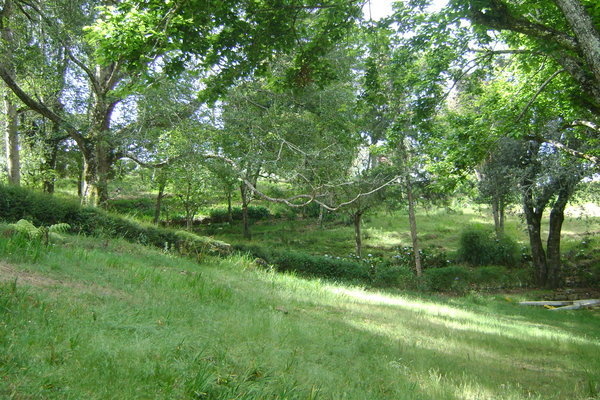 The green slope.