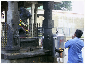 The huge lingam in the front yard