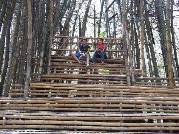 Bamboo steps !